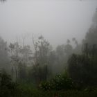 Nebel über Cobán (Guatemala)