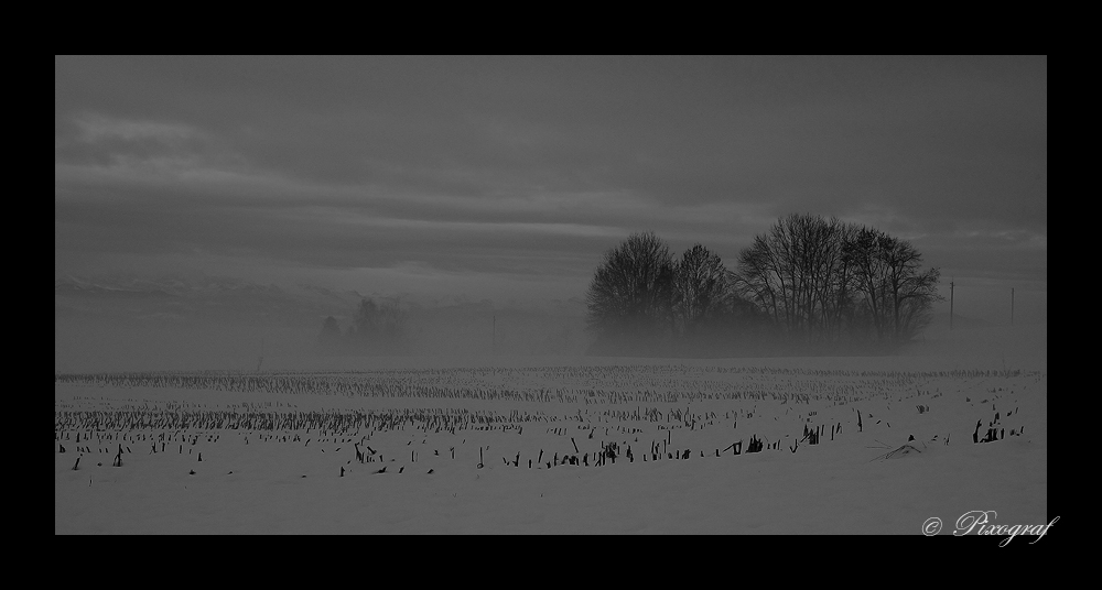 ...... Nebel über dem Acker ......