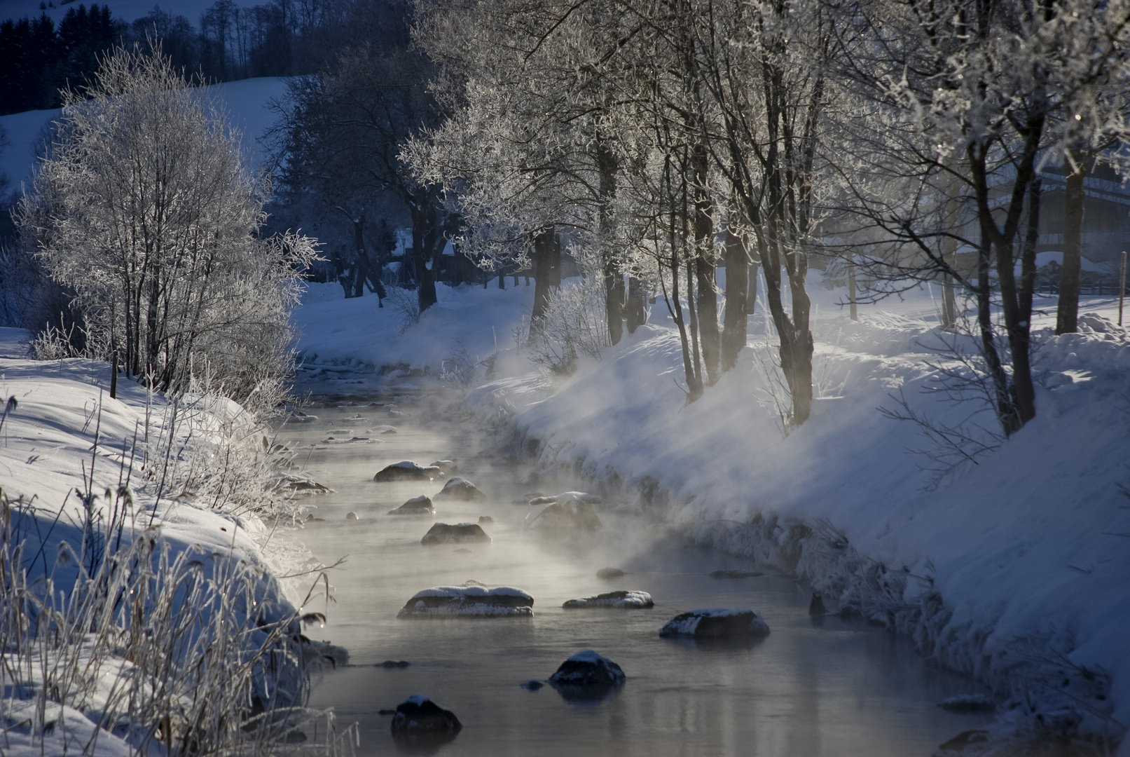 Nebel über dem Bach