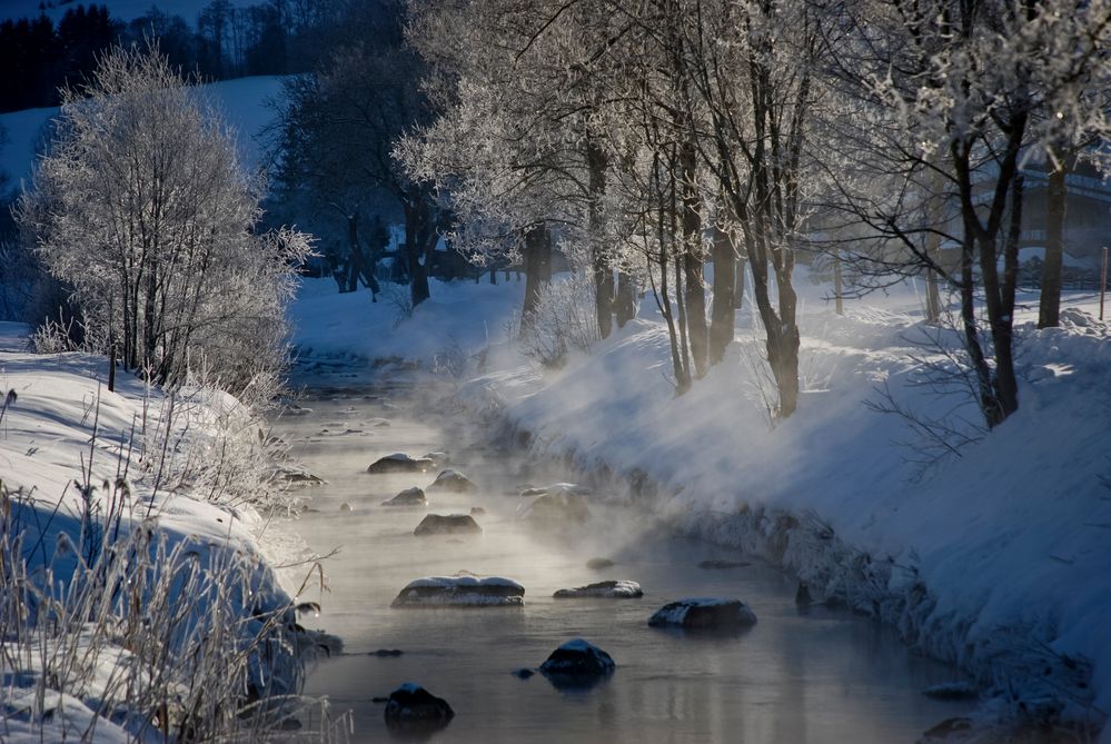 Nebel über dem Bach von Golo (Jürgen Golombek) 