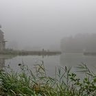 Nebel über dem Biotop am De Wittsee