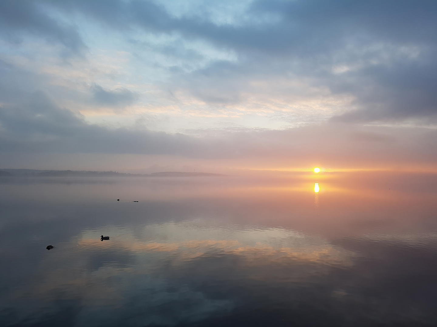 Nebel über dem Blankensee