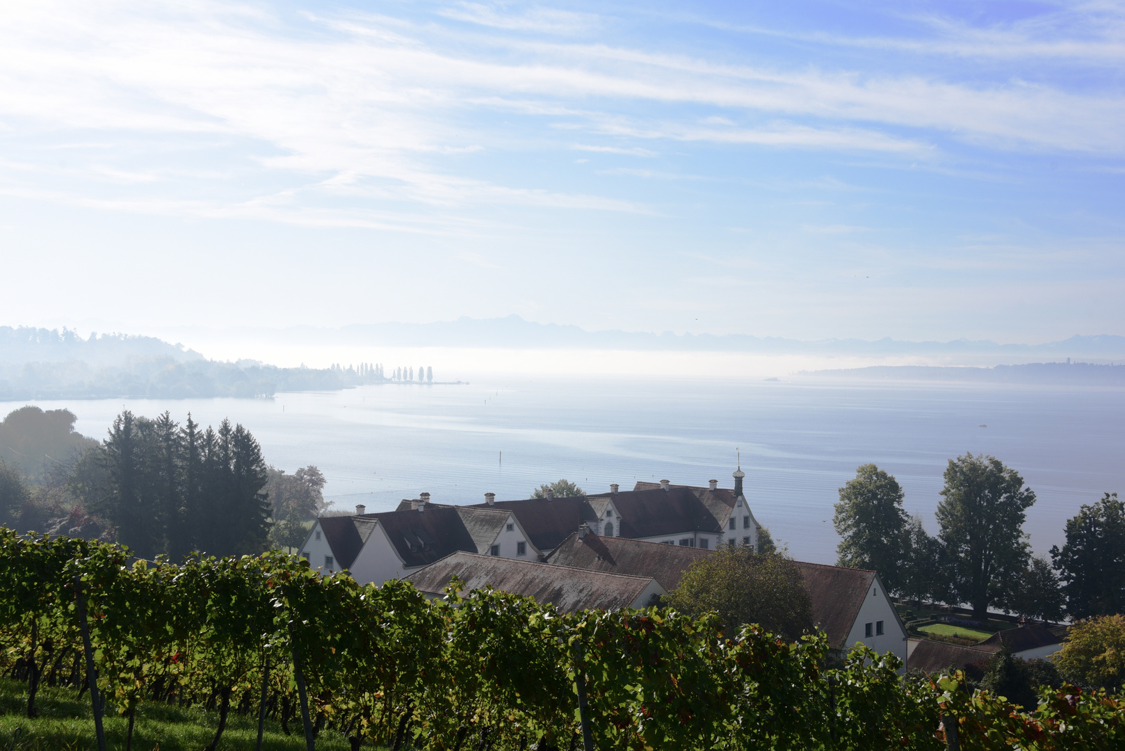 Nebel über dem Bodensee