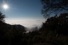 Nebel über dem Bodensee