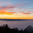 Nebel über dem Bodensee