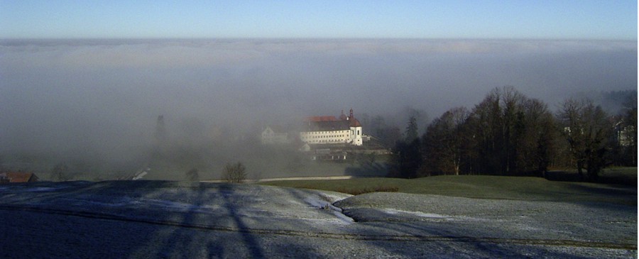 Nebel über dem Bodensee