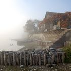 Nebel über dem Bodensee