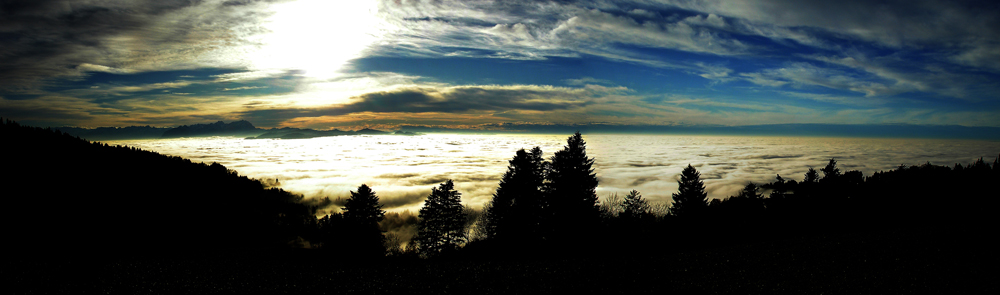 Nebel über dem Bodensee