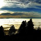 Nebel über dem Bodensee