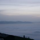 Nebel über dem Bodensee (Bregenz)