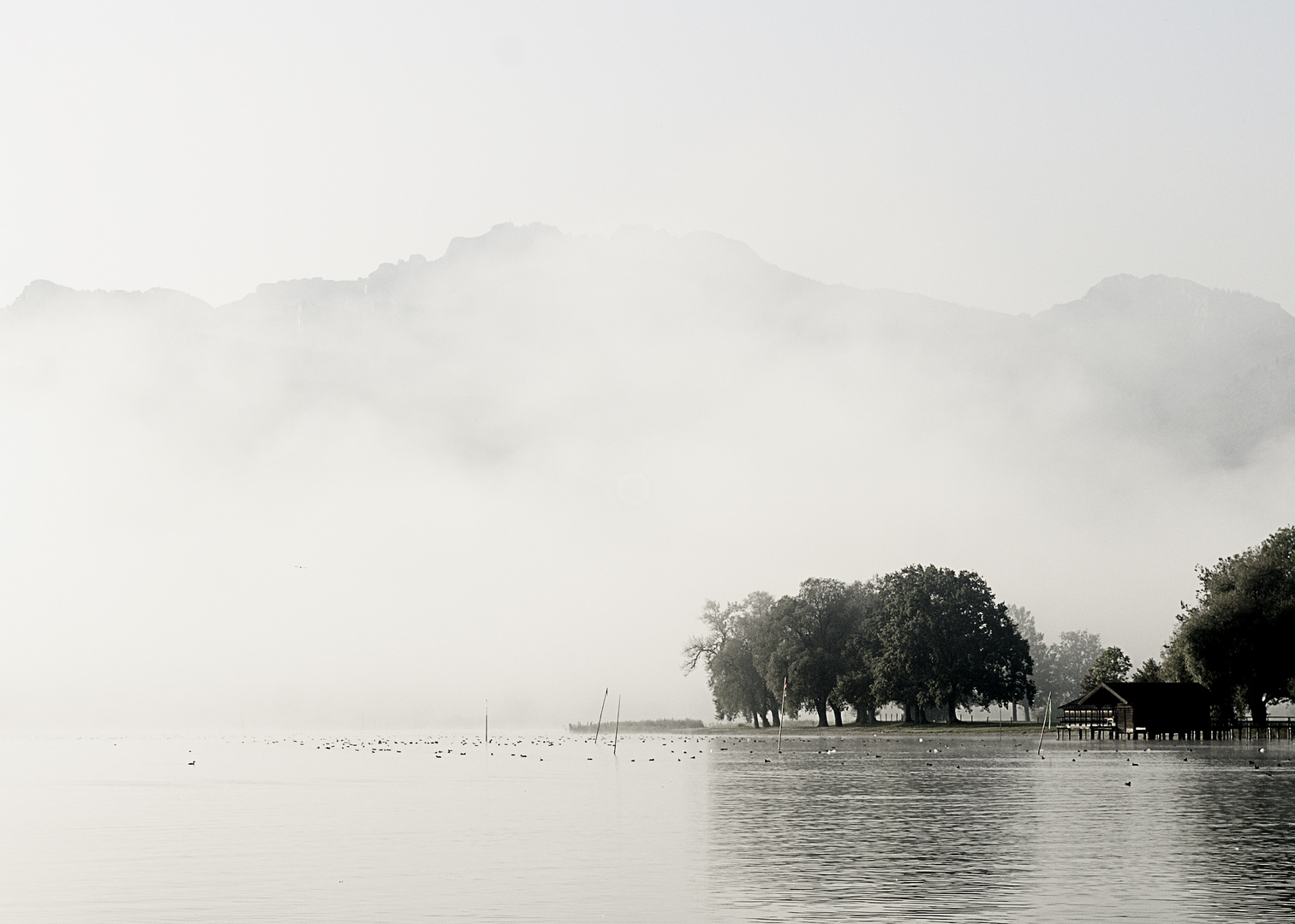 Nebel über dem Chiemsee