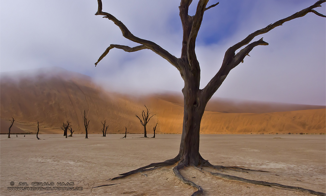 Nebel über dem Dead-Vlei