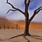 Nebel über dem Dead-Vlei