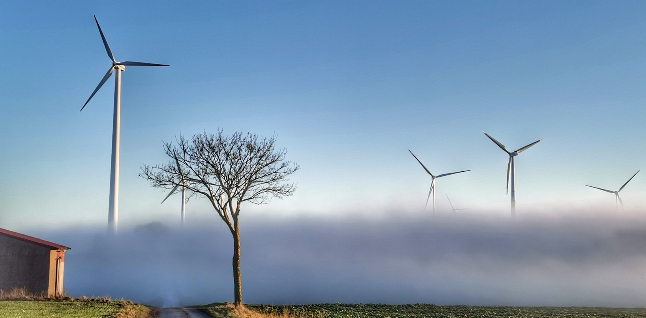 Nebel über dem Diemeltal