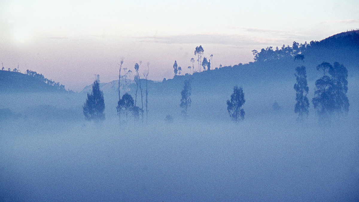 Nebel über dem Dieng-Plateau