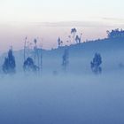 Nebel über dem Dieng-Plateau