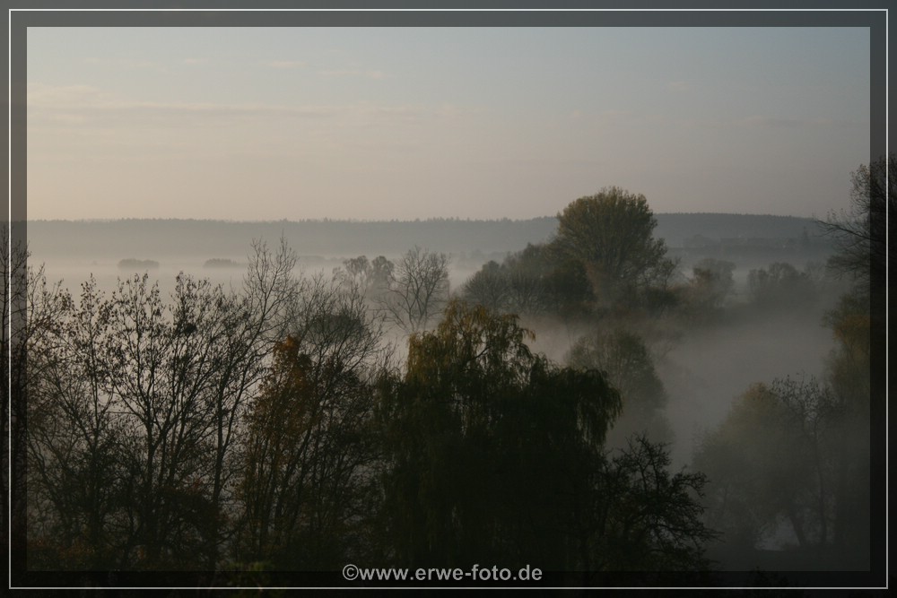Nebel über dem Donautal