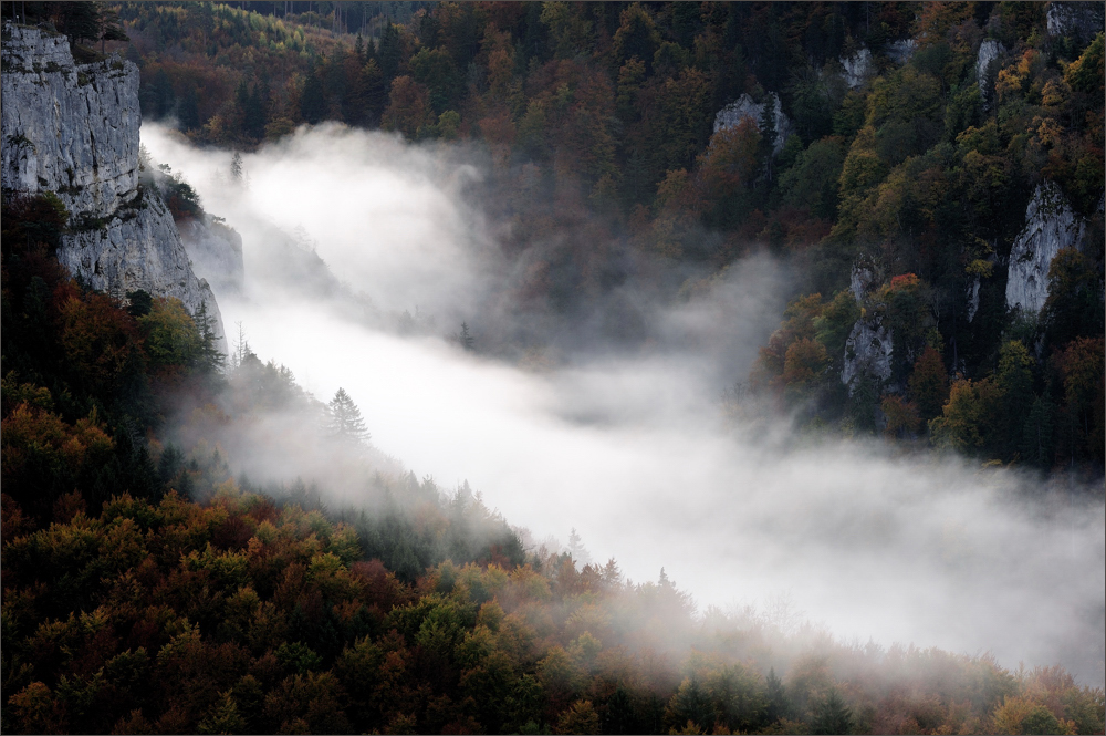 -Nebel über dem Donautal -