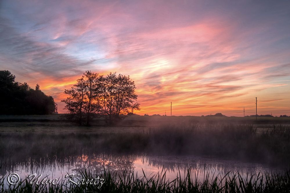 Nebel über dem Dorfteich