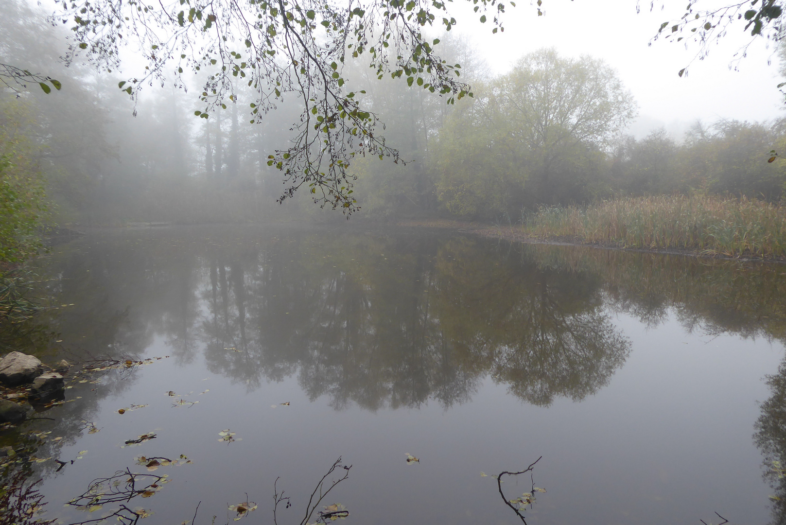 Nebel über dem Dorfteich