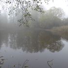 Nebel über dem Dorfteich