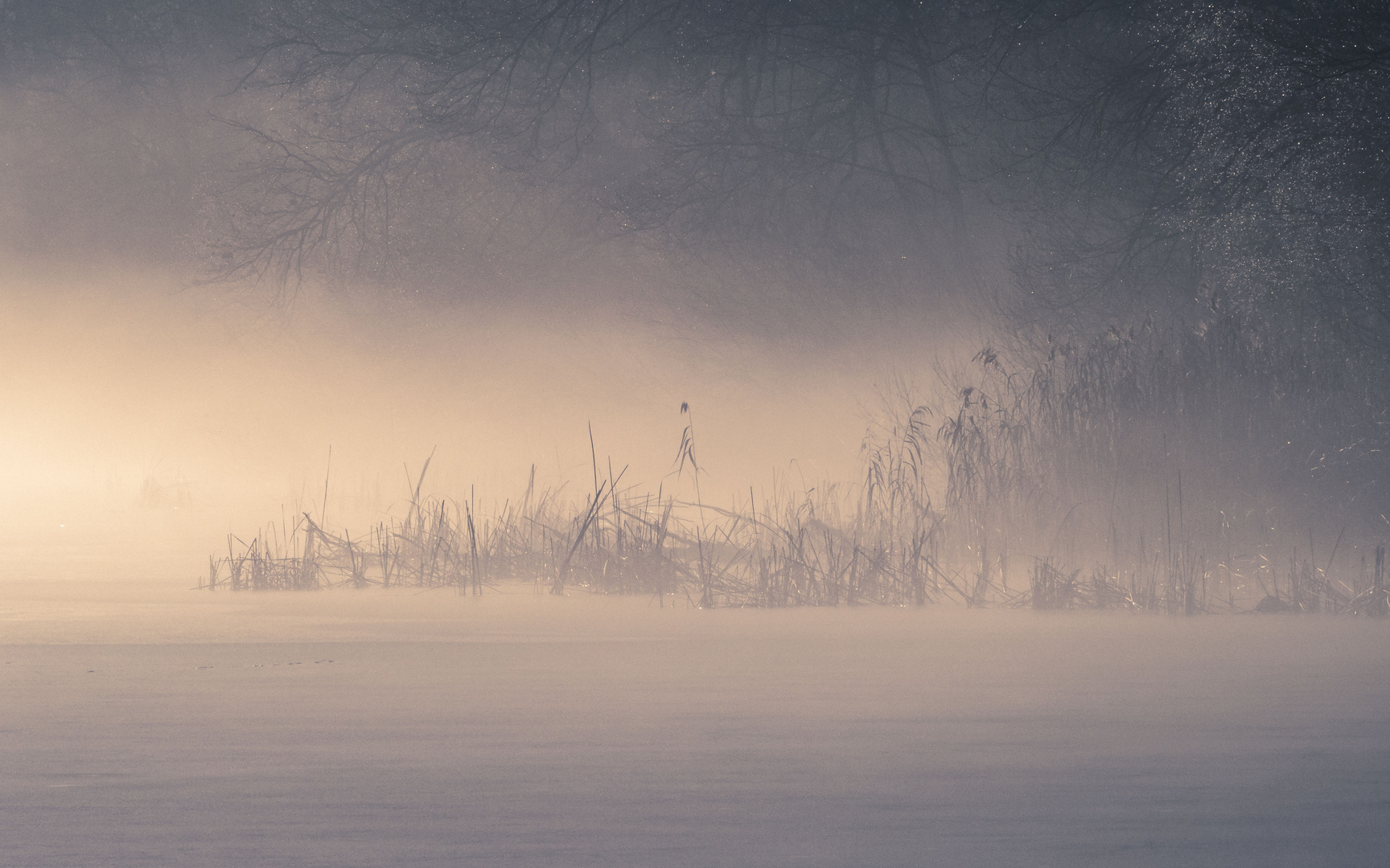 Nebel über dem Eis2