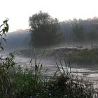 Nebel über dem Eisvogelrevier