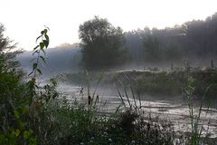 Nebel über dem Eisvogelrevier