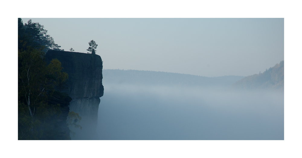 Nebel über dem Elbtal