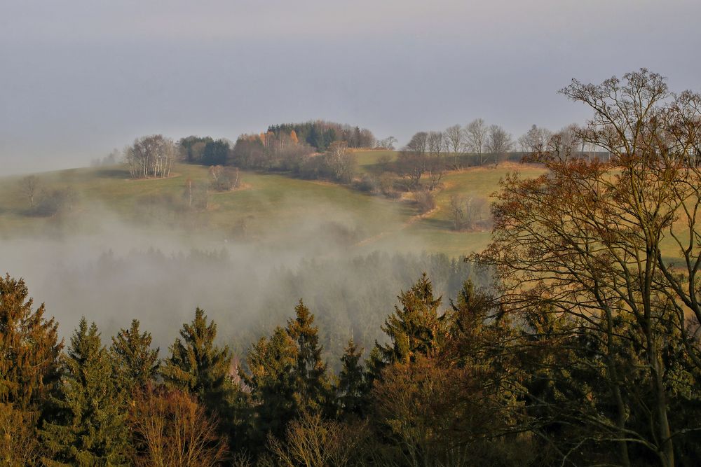 Nebel über dem Erzgebirge