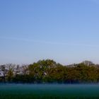 Nebel über dem Feld