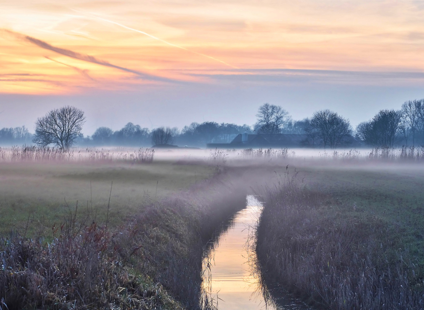 Nebel über dem Feld