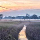 Nebel über dem Feld