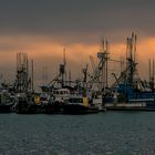 Nebel über dem Fisherman’s Wharf