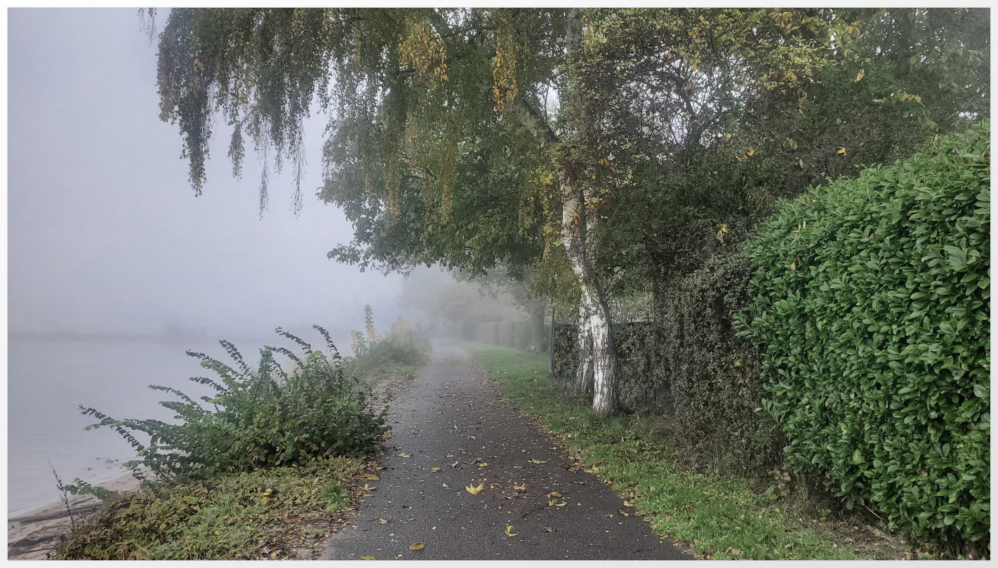 Nebel über dem Fluss