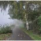 Nebel über dem Fluss