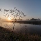 Nebel über dem Fluss