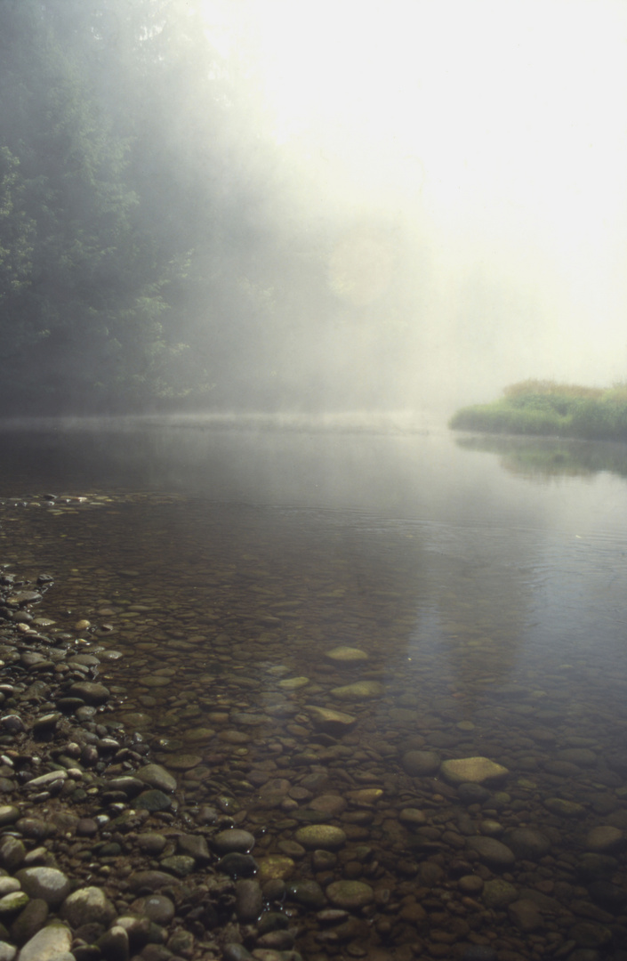 Nebel über dem Fluss