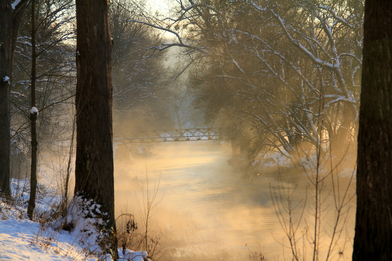 Nebel über dem Fluss