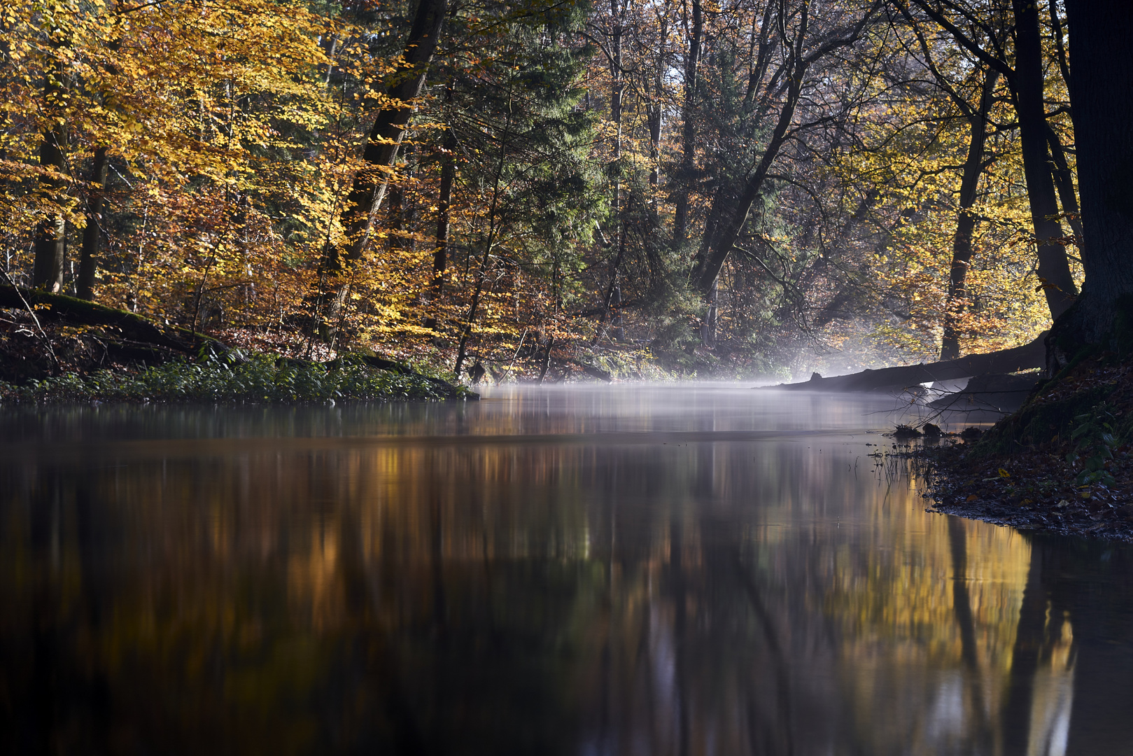 Nebel über dem Fluß