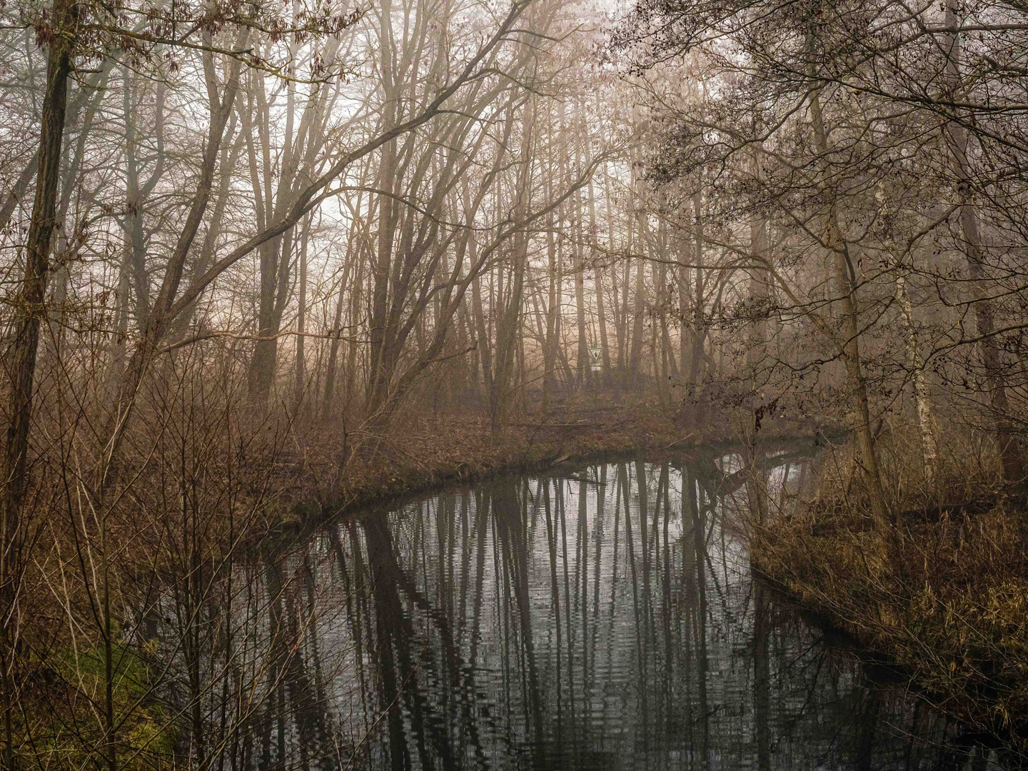 Nebel über dem Fluss