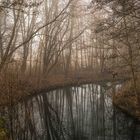 Nebel über dem Fluss