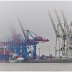 Nebel über dem Hafen