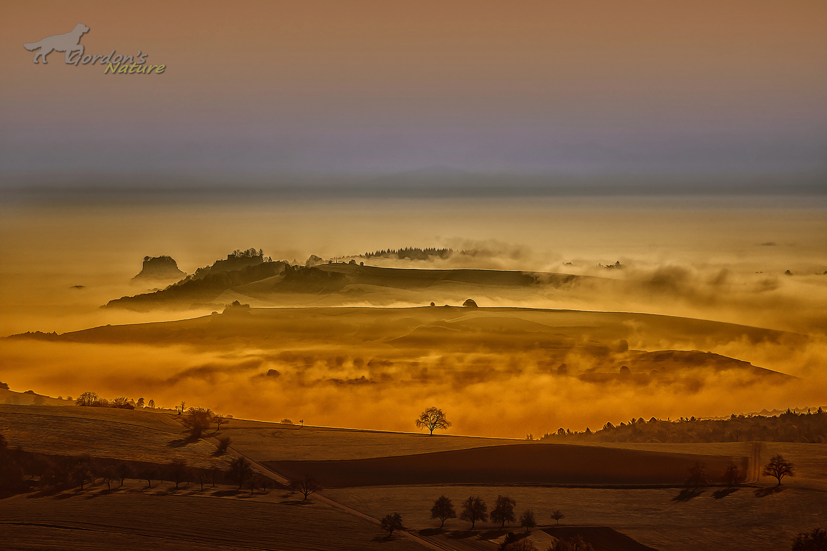 Nebel über dem Hegau