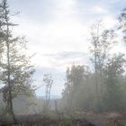 Nebel über dem Hochwälder Steig