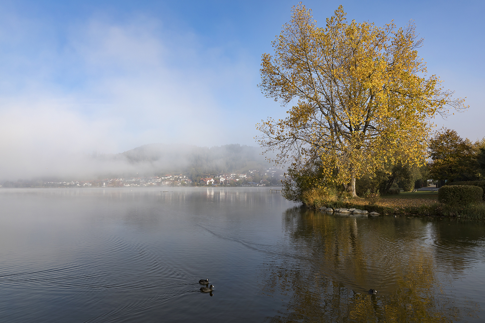 Nebel über dem Hopfensee