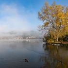 Nebel über dem Hopfensee