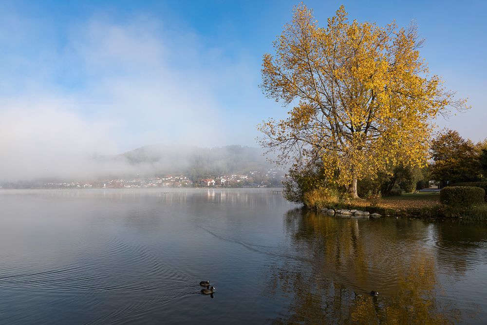 Nebel über dem Hopfensee