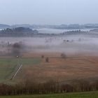 " Nebel über dem Ibmer Moor.. " 2