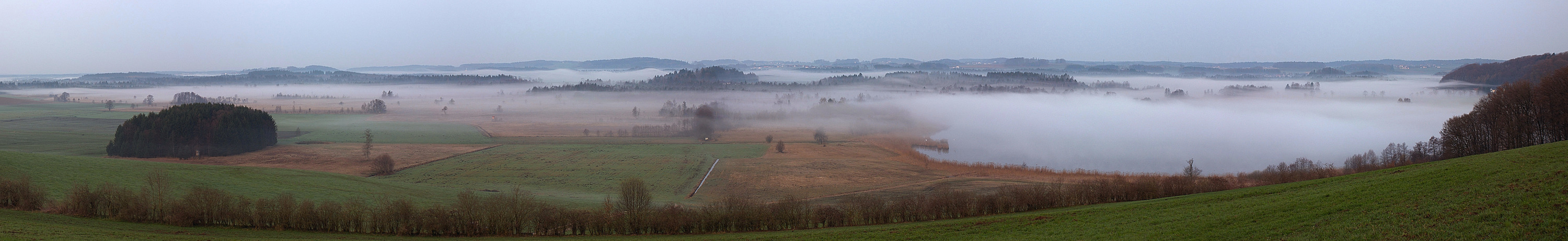 " Nebel über dem Ibmer Moor.. " 2